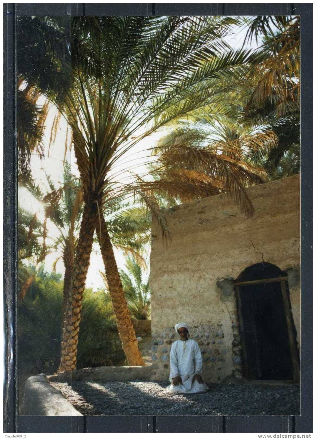 MOSQUE . WADI SULEIF .Carte Trés Animée . Voir Recto - Verso  (J758) - Emirats Arabes Unis