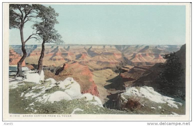 Grand Canyon From El Tovar, Fred Harvey Detroit Publishing C1910s Vintage Postcard - USA National Parks