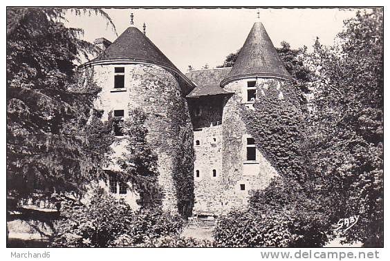 85 VENDEE CHANTONNAY LES TOURS DU CHATEAU DU PALLY - Chantonnay