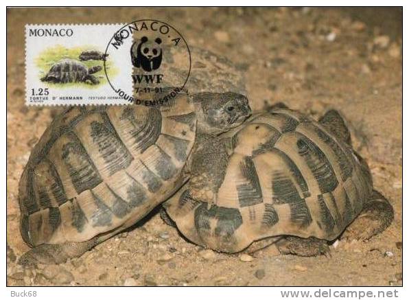 MONACO 1805 FDC Premier Jour TORTUE SCHILDKRÖTE TURTLE TURTOISE TORTUA - Turtles