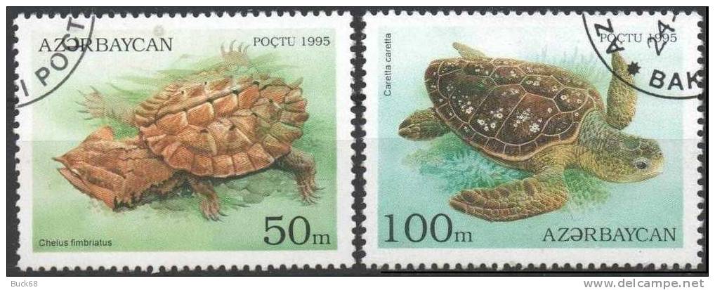 AZERBAIDJAN Série De 5 Timbres (o) TORTUE SCHILDKRÖTE TURTLE TURTOISE TORTUA Mosasaurus - Tortues