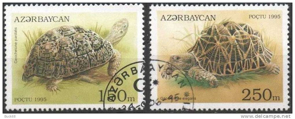 AZERBAIDJAN Série De 5 Timbres (o) TORTUE SCHILDKRÖTE TURTLE TURTOISE TORTUA Mosasaurus - Tortues