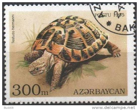 AZERBAIDJAN Série De 5 Timbres (o) TORTUE SCHILDKRÖTE TURTLE TURTOISE TORTUA Mosasaurus - Turtles