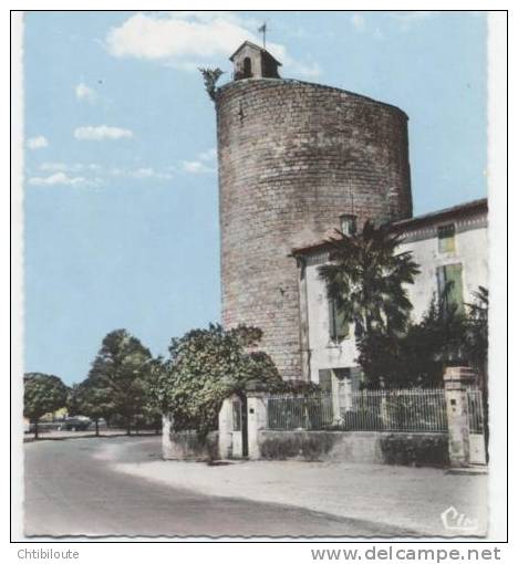 AULNAY   /   17   " VUE GENERALE   "    CPSM   10X15 - Aulnay