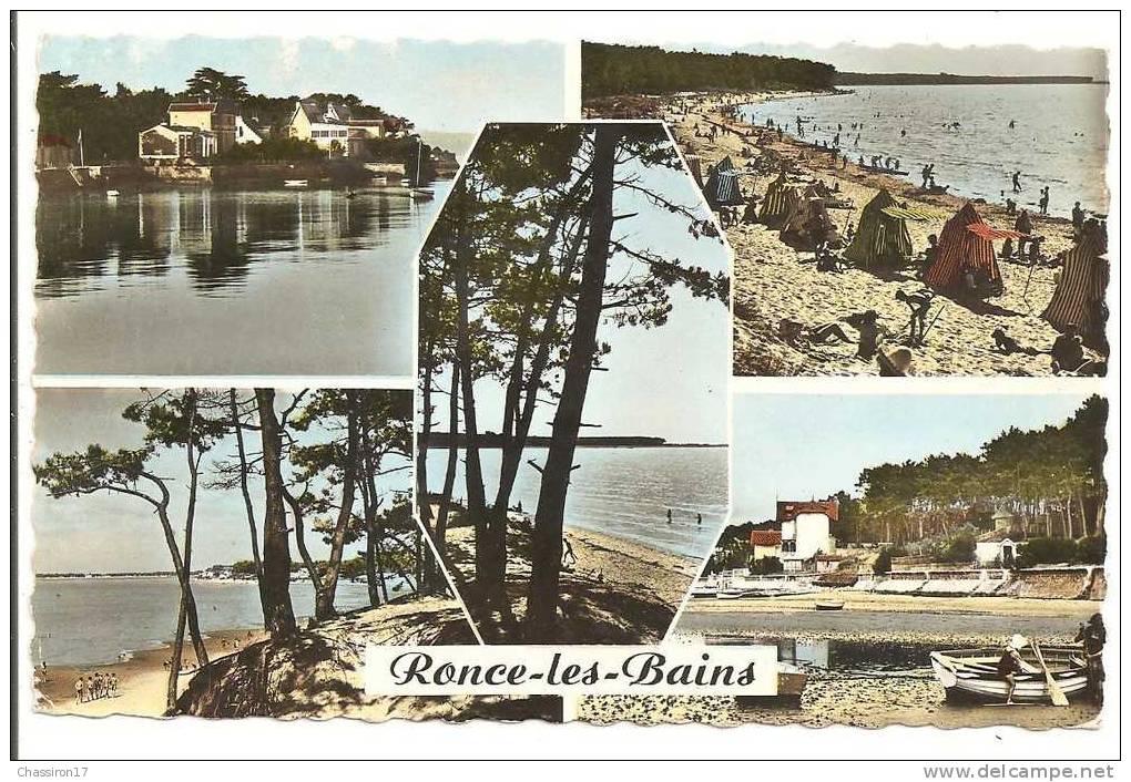 17 - RONCE-les-BAINS - Lot De 3 Cartes - Multivues  CPSM Couleur - Sous-bois Et Plage - La Tremblade