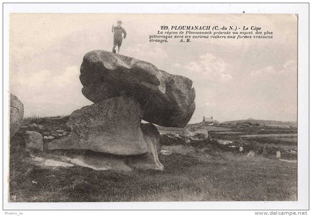 FRANCE - PLOUMANACH, Le CEPE, Old Postcard - Dolmen & Menhirs