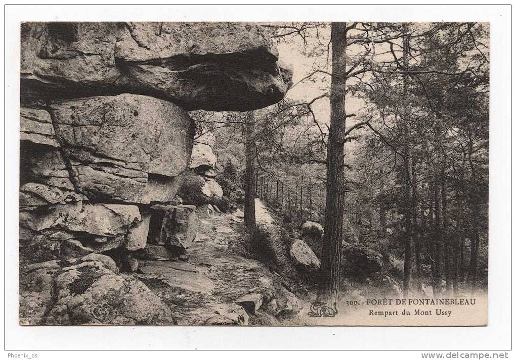 FRANCE - FORET De FONTAINEBLEAU, 1924. - Dolmen & Menhirs