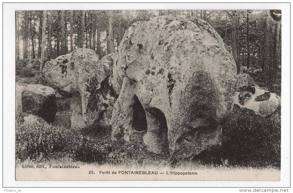 FRANCE - FORET De FONTAINEBLEAU, L Hippopotame, Old Postcard - Dolmen & Menhire