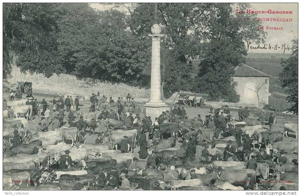 MONTREJEAU - Le Foirail - Montréjeau