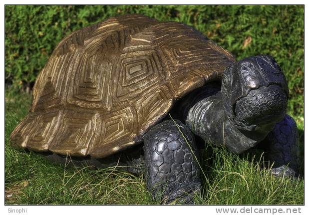 A81-67   @    Stone  Turtle   , ( Postal Stationery , Articles Postaux ) - Turtles