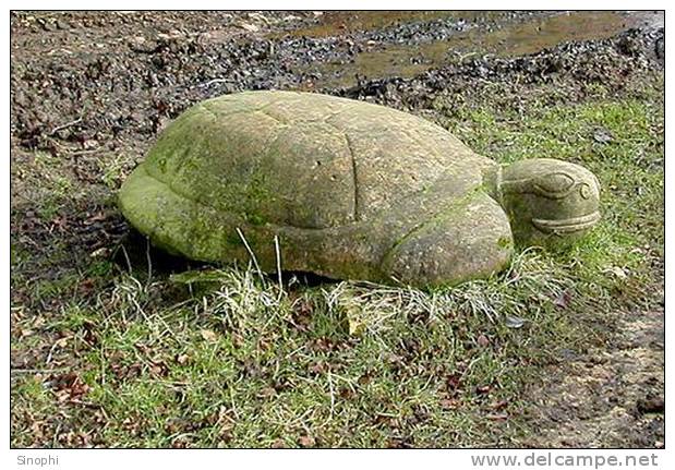 A81-76   @    Stone  Turtle   , ( Postal Stationery , Articles Postaux ) - Turtles