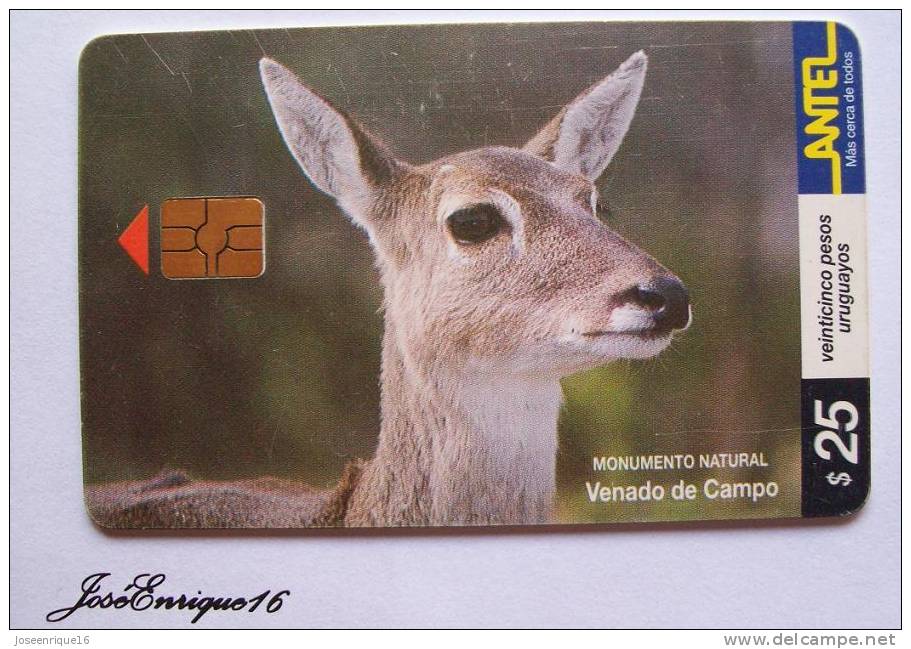 TC 94a VENADO DE CAMPO, DEER DOMAINE, DEER FIELD. ANTEL URUGUAY - Uruguay