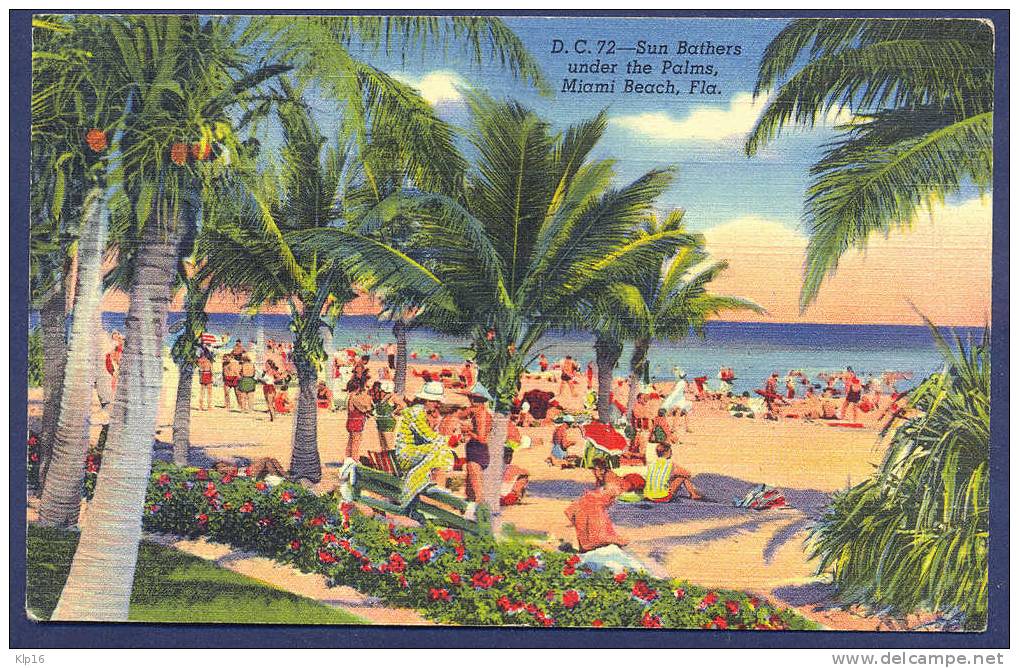FLORIDA,SUN BATHERS UNDER THE PALMS,OLD PC - Miami Beach