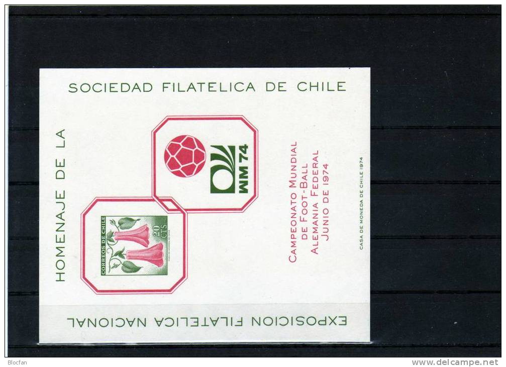 Fußball WM München 1974 Orchidee Chile 642 B +Sonder-Block I/74 ** 25€ Hoja Flower Bloc Soccer Souvenir Sheet Bf America - 1974 – West Germany