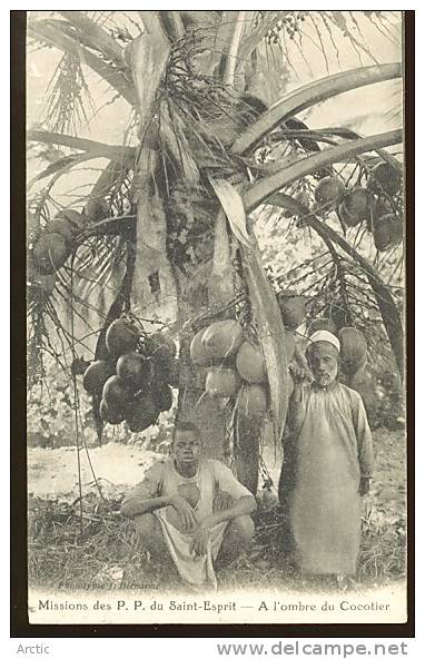 Mission Des P.P Du Saint Esprit à L'ombre Des Cocotiers - Malawi