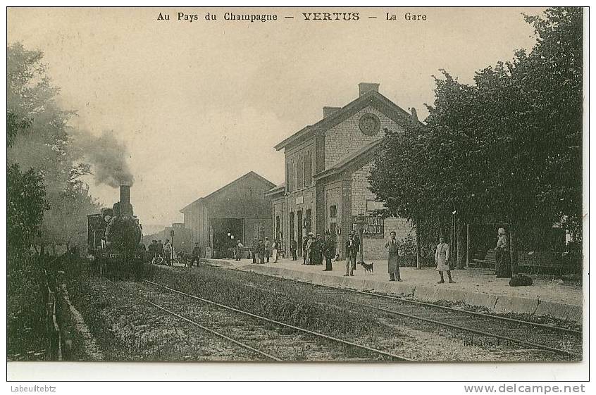 Au Pays De Champagne - VERTUS - La Gare (train Locomotive) - Vertus