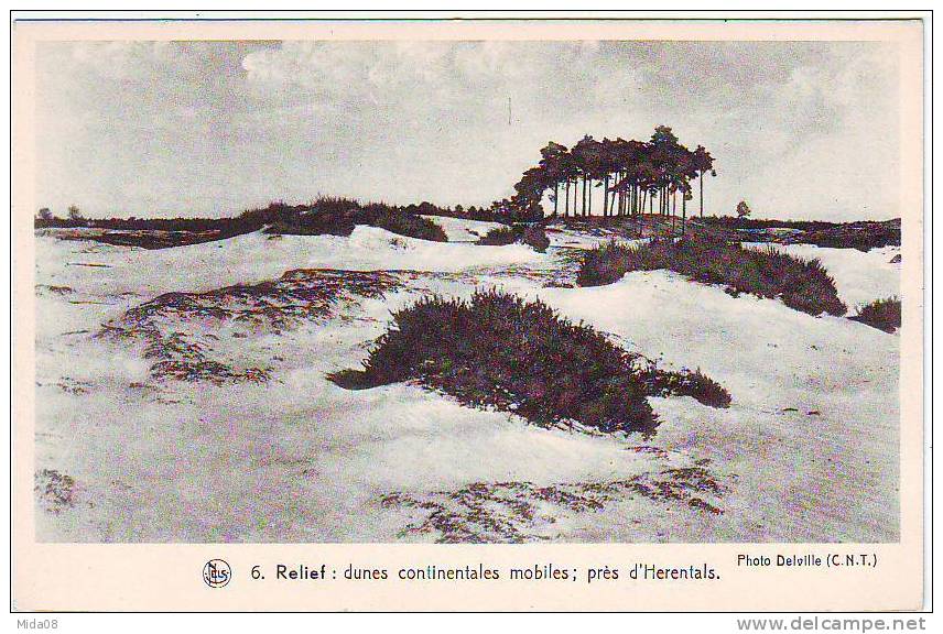 LES PAYSAGES BELGES .3ieme SERIE .LA CAMPINE.6. RELIEF. DUNES CONTINENTALES PRES D'HERENTALS. - Herentals