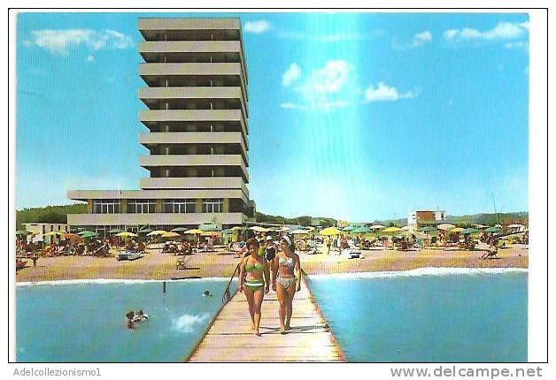 46811)cartolina Illustratoria Monte Silvano - Albergo Promenade - Pescara