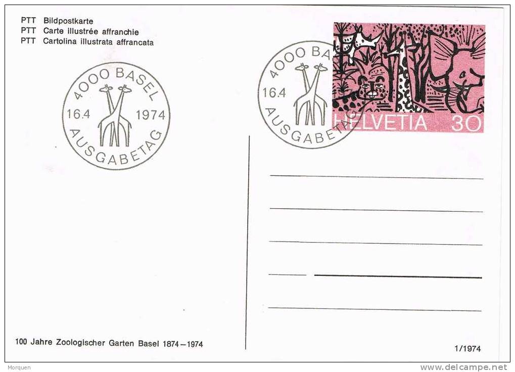 Entero Postal Basel (Suiza) 1974. Jirafe, Jirafa - Giraffen