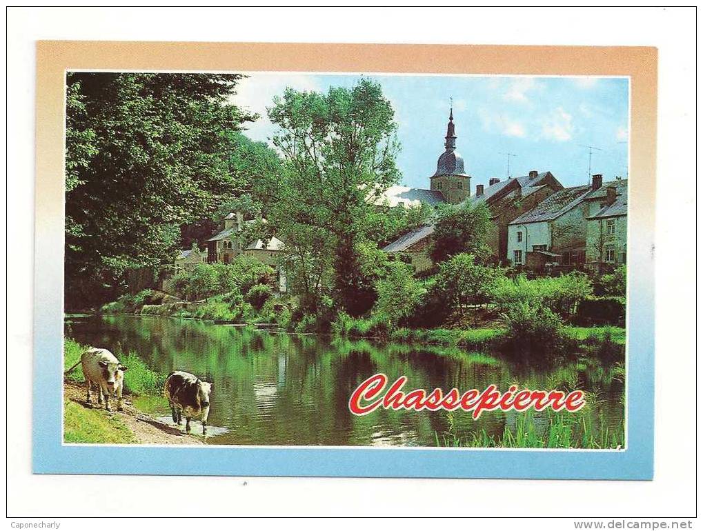 Lot De 2 CPM  CHASSEPIERRE SUR SEMOIS PROVINCE LUXEMBOURG BELGIQUE - Chassepierre