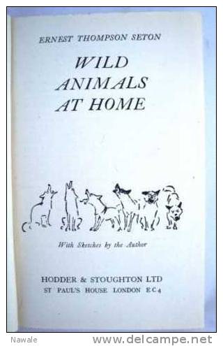 Thompson Seton, Ernest:      Wild Animals At Home - Fauna