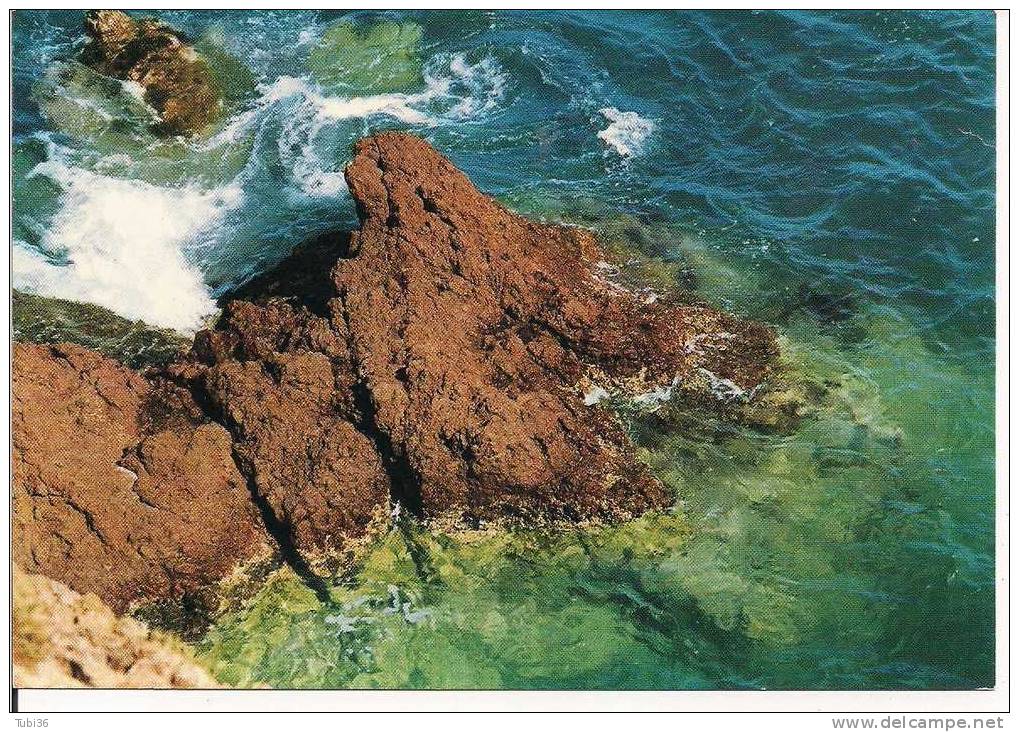 SCOGLI E MARE - VERA FOTOGRAFIA - COLORI VIAGGIATA  1968 - - Sonstige & Ohne Zuordnung