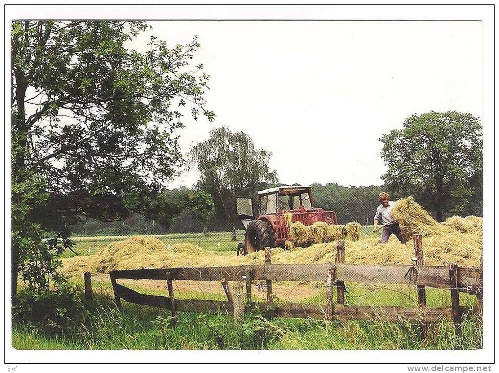 Tracteur / Tractor ; Fenaison "Groeten Uit Reusel", Vers ARNHEM, Nederland / Pays-Bas; TB - Traktoren
