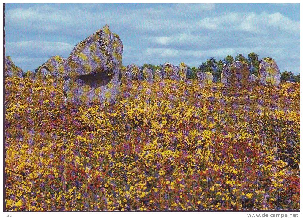 Menhirs Di Carnac, Bretagna, Francia - Dolmen & Menhire