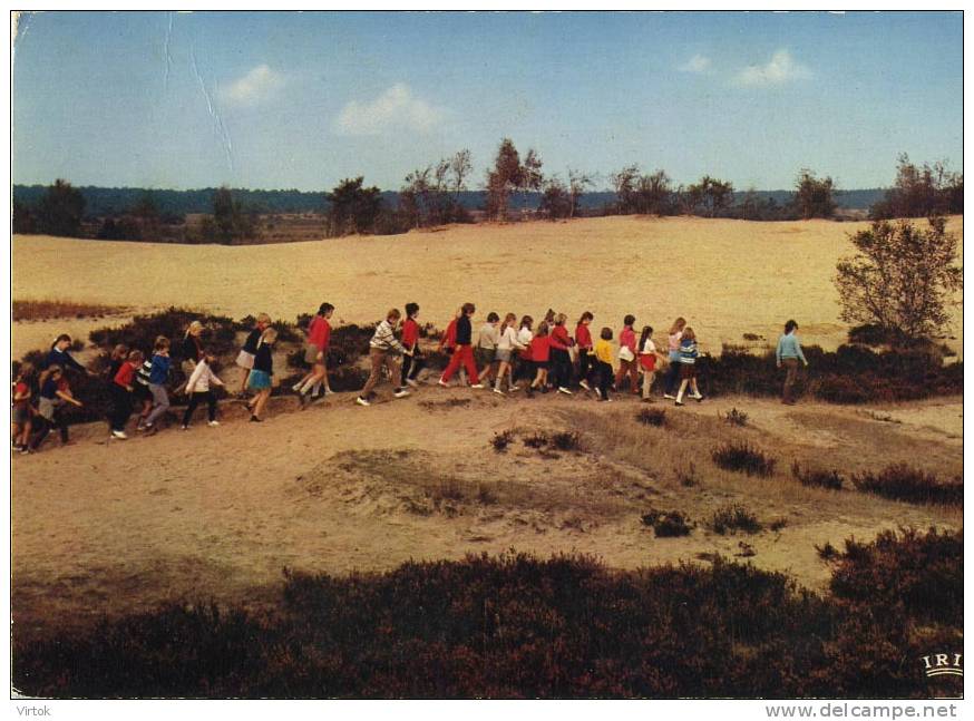 Heide-Kalmthout : Schoolkolonie ´ Kindervreugd ´  ( Groot Formaat ) - Kalmthout