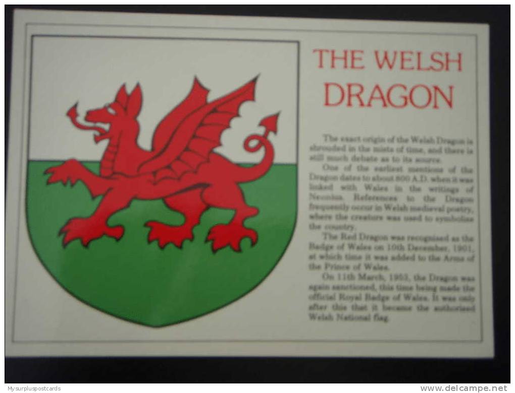 10646: WELSH FLAG -  THE WELSH DRAGON. - Other & Unclassified