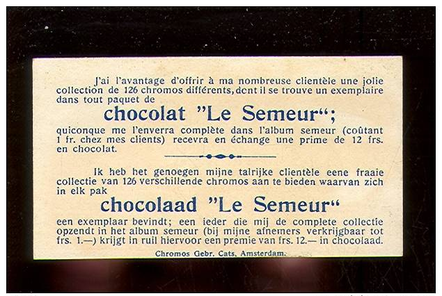 Chromo ( 927 ) Chocalat " Le Semeur " Chocolade - Chromos Cats , Amsterdam - Nomades Bédouins Du Sahara - Other & Unclassified