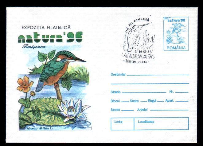 Romania Stationery Cover With Post Mark  Birds Alcedo Atthis 1996. - Marine Web-footed Birds