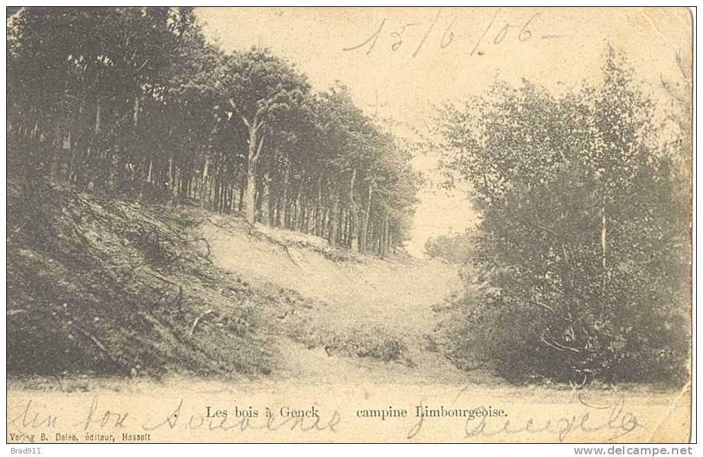 Genk - Les Bois à Genck - Campine Limbourgeoise - 1906 [2 Scans] - Genk