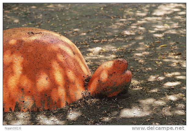 Stone Turtle ,   Postal Stationery -Articles Postaux -Postsache F (W20-16) - Tortues