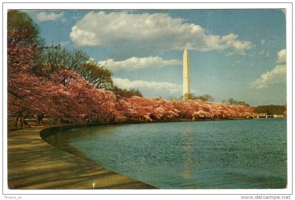 UNITED STATES - Washington, The Washington Monument, Year 1963, No Stamps - Washington DC