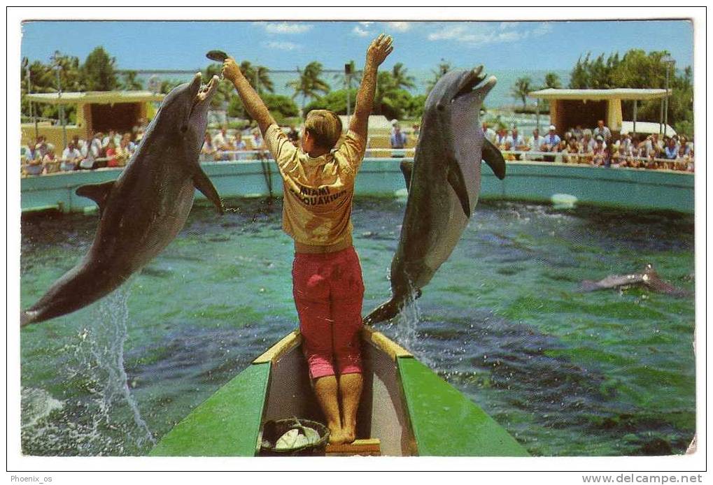 UNITED STATES - Florida, Miami's Fabulous Seaquarium, No Stamps - Dolphins