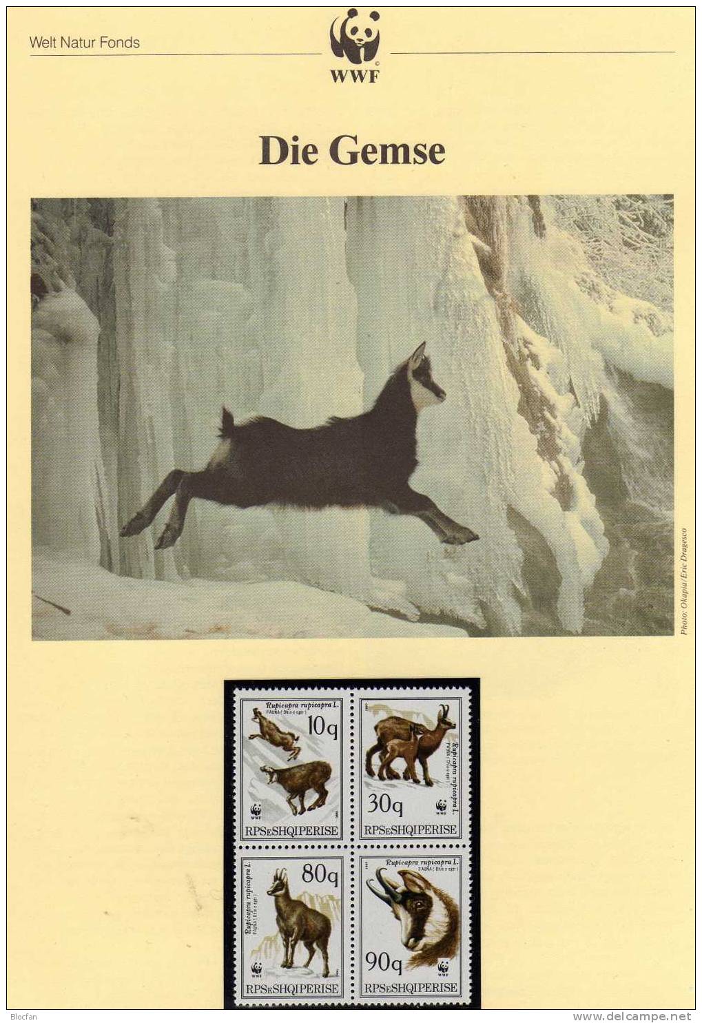 WWF-Serie 95 Albanien 2423/6 **, 4FDC+ 4MKt. 24CHF Gemse Naturschutz, Dokumentation - Nature