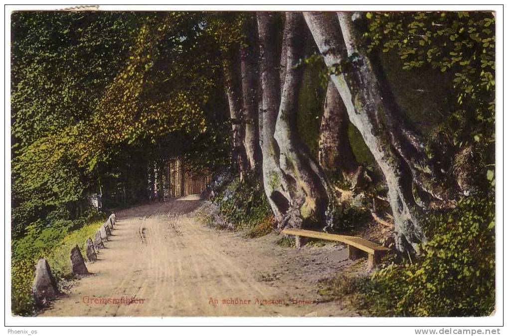 GERMANY - Malente-Gremsmuehlen, The Road Through The Woods, Year 1916 - Malente-Gremsmühlen