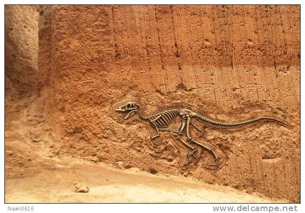 Dinosaur  Fossils   ,   Postal Stationery -Articles Postaux -Postsache F (A74-39) - Fossili