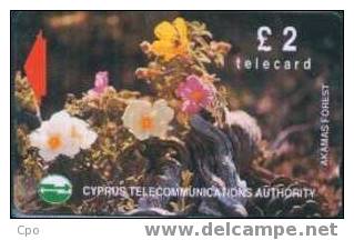 # CYPRUS 8.1 Akamas Forest 16CYPA 2 Gpt 01.92 -fleurs,flowers- Tres Bon Etat - Chipre
