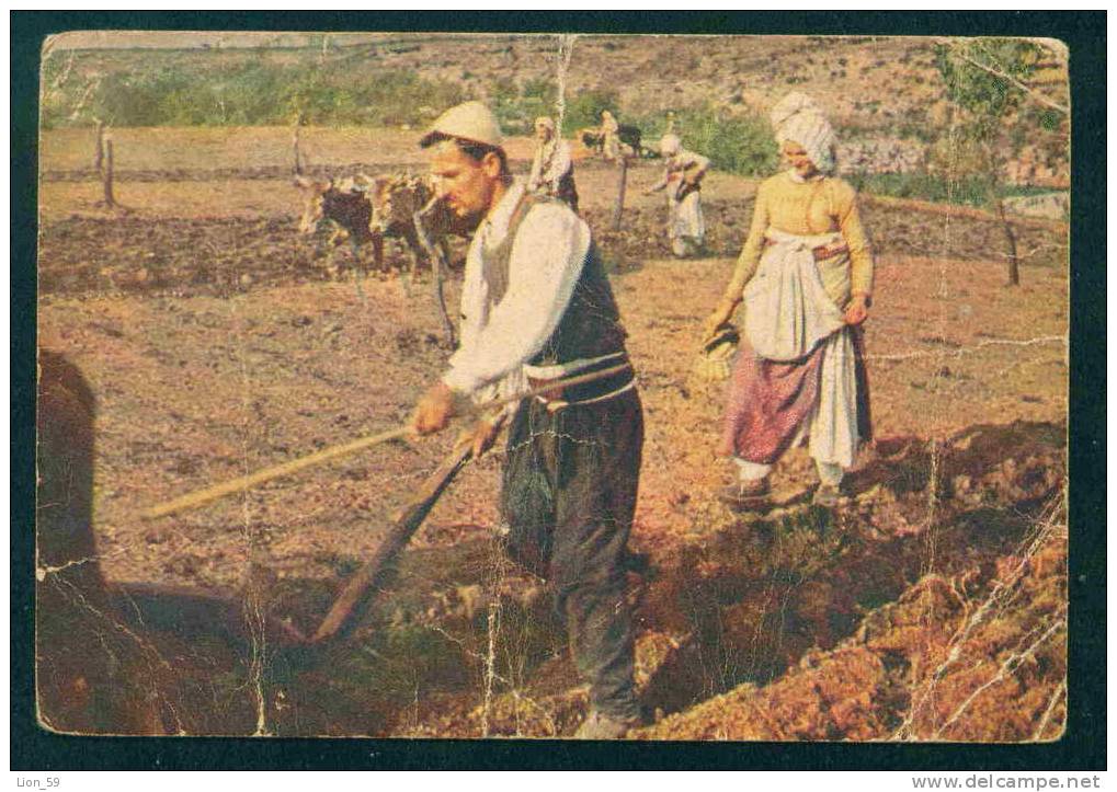 DRISHTI - LA SEMINA DEL GRANO - Albania Albanie Albanien 78022 - Albanien