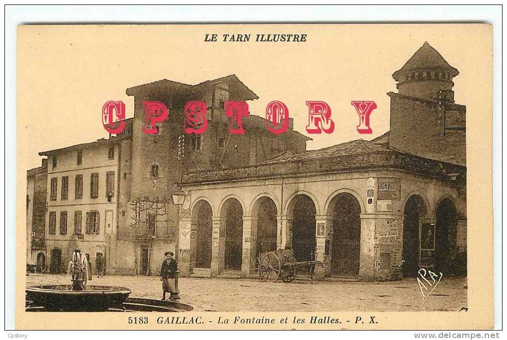 81 - GAILLAC - La Fontaine Et Les Halles - Dos Scané - Gaillac