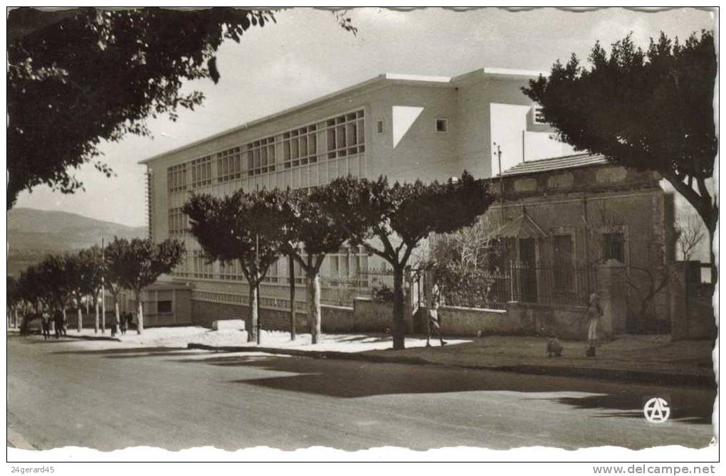 CPSM GUELMA(Algérie - Alger) - Ecole Anatole France - Guelma