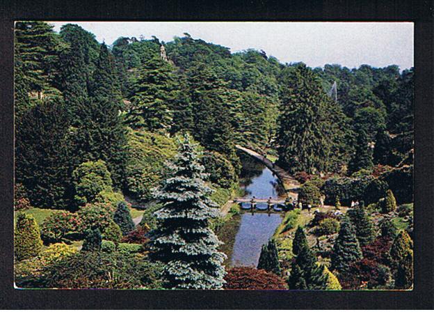 RB 573 - Arthur Dixon Postcard View From The Cascade Alton Towers Staffordshire - Autres & Non Classés