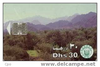 # UAE 24 Mountain & Palm Tree 30 Sc7 01.96  Tres Bon Etat - Ver. Arab. Emirate