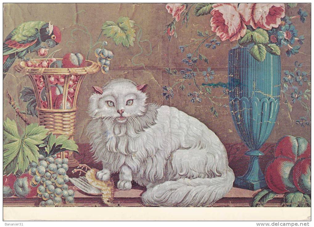 @ Belle Carte De CHAT @ Tapisserie Et Oiseaux Dont Perroquet @ - Gatti