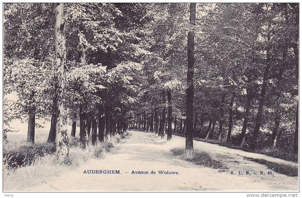 AUDERGHEM Avenue De Woluwe - Auderghem - Oudergem
