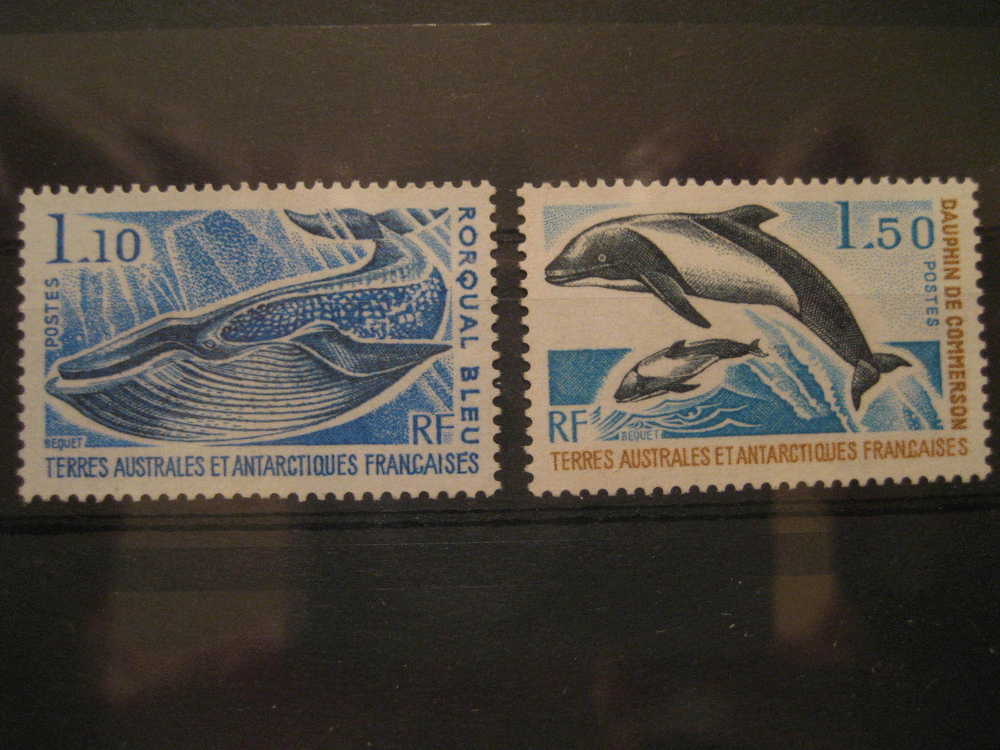 TERRES AUSTRALES ET ANTARCTIQUES Yvert 64/5 ** Unhinged Ballenas Whales Rorcual Azul Rorqual Bleu Delfin Dauphin Dolphin - Baleines