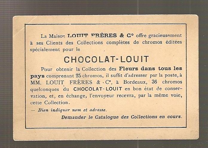 Chromos Chocolat Louit -  Bordeaux - Bulgarie Roses  - Fleurs De Tous Les Pays (pli Marqué) - Otros & Sin Clasificación