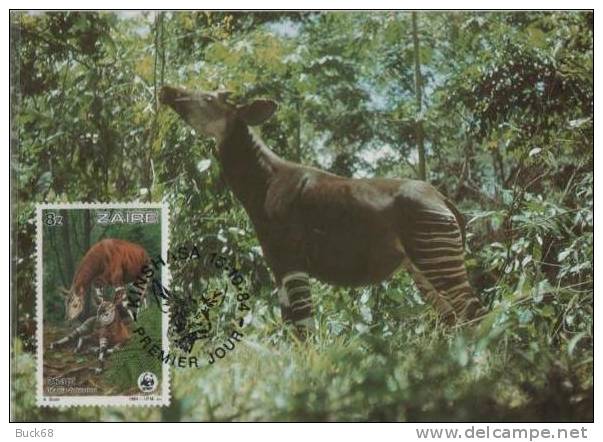 ZAIRE Carte FDC Premier Jour WWF : OKAPI - Giraffe